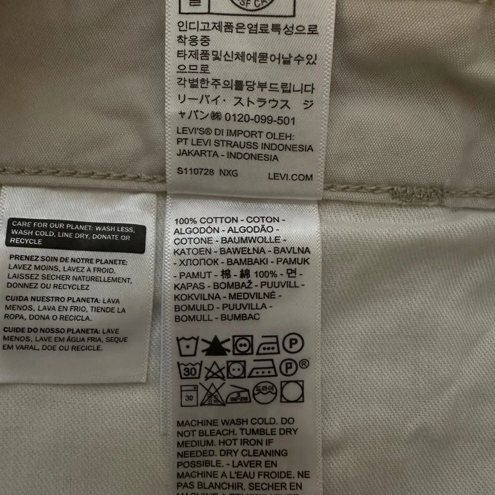 Levis levi strauss